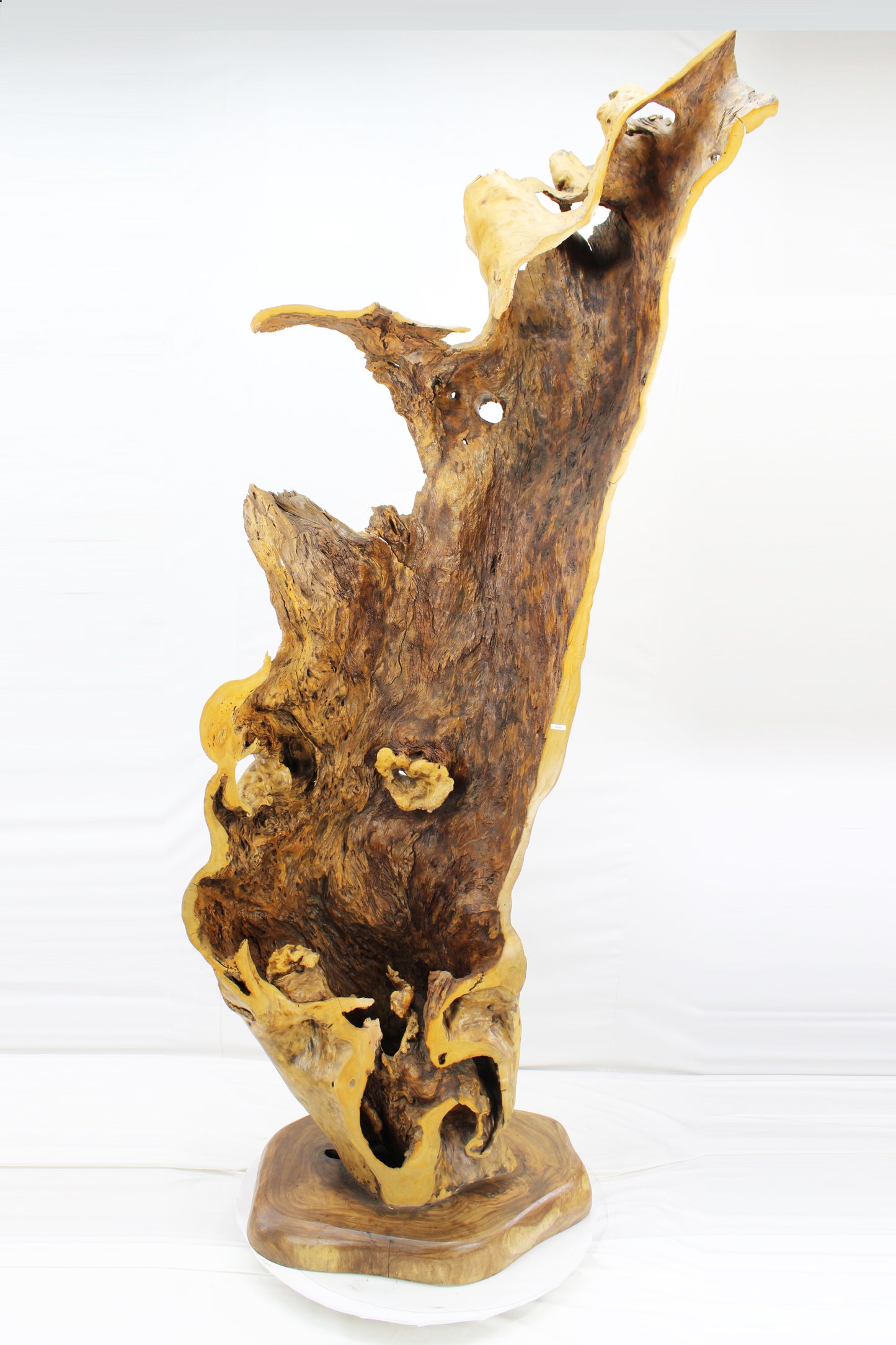 Handcrafted Wooden Wildlife Sculpture SPL035