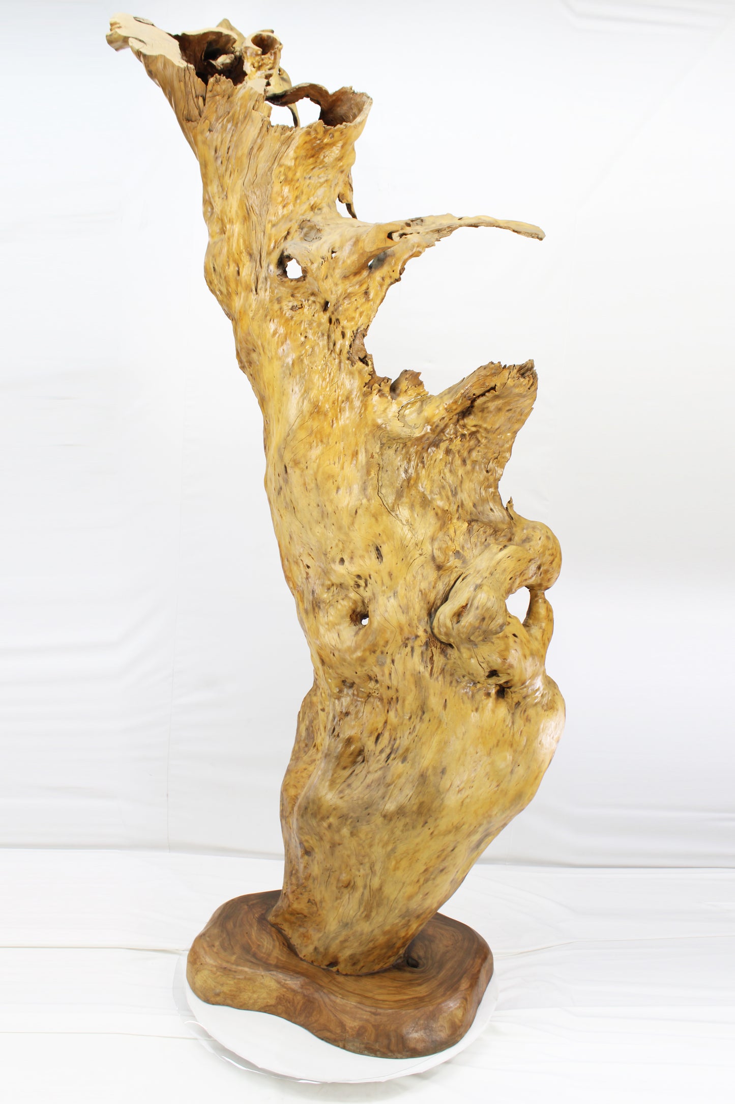 Handcrafted Wooden Wildlife Sculpture SPL035