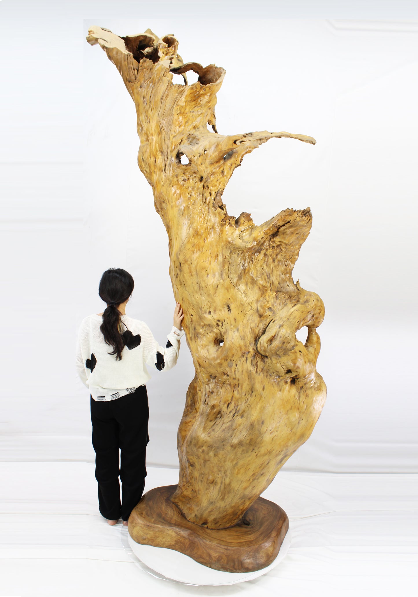 Handcrafted Wooden Wildlife Sculpture SPL035