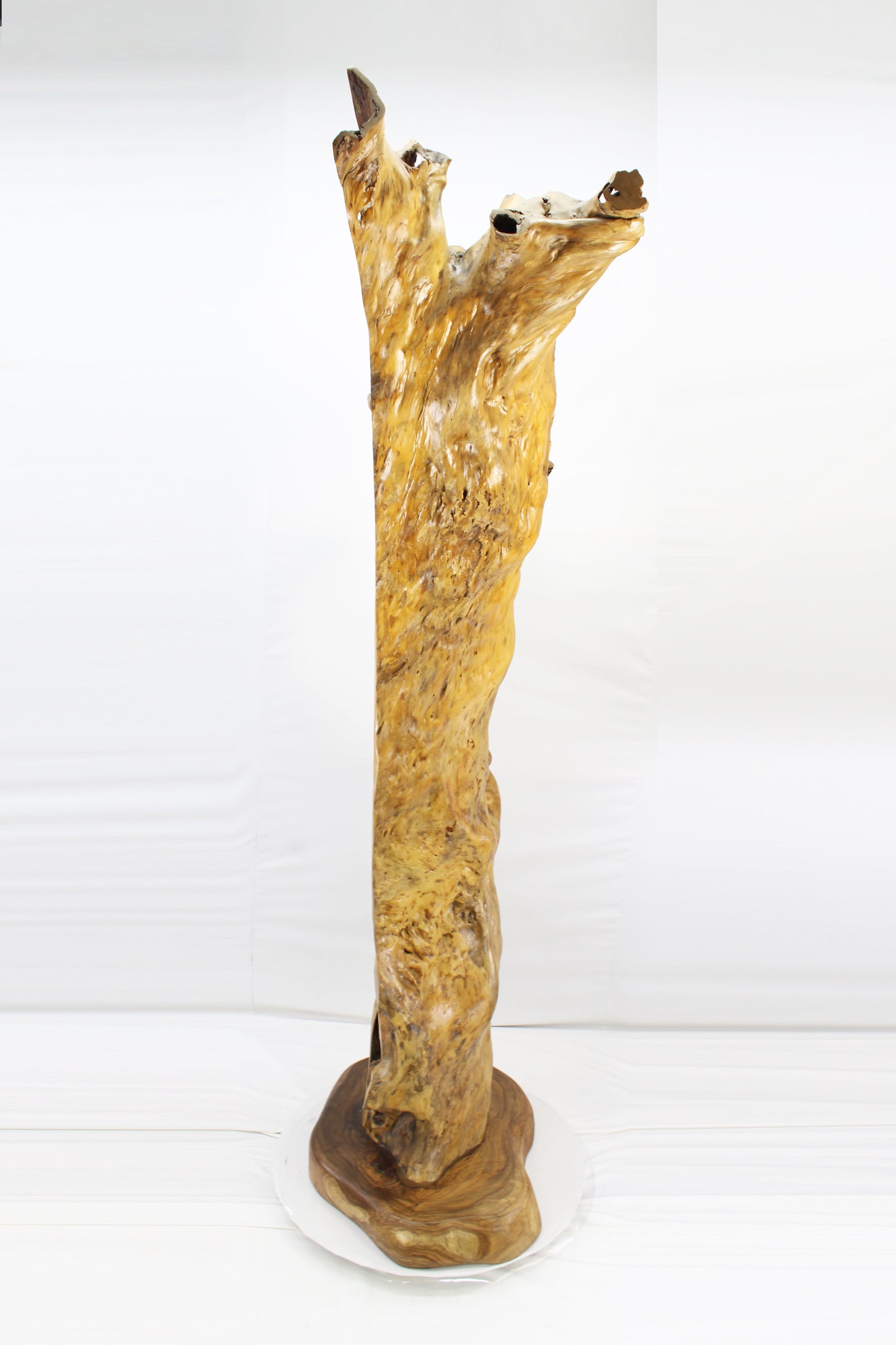 Handcrafted Wooden Wildlife Sculpture SPL035