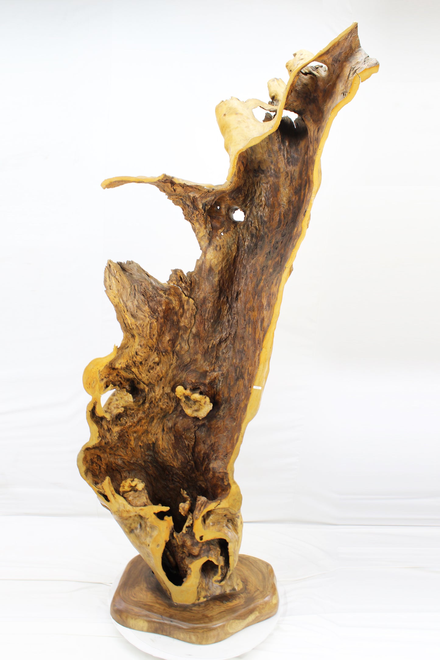 Handcrafted Wooden Wildlife Sculpture SPL035