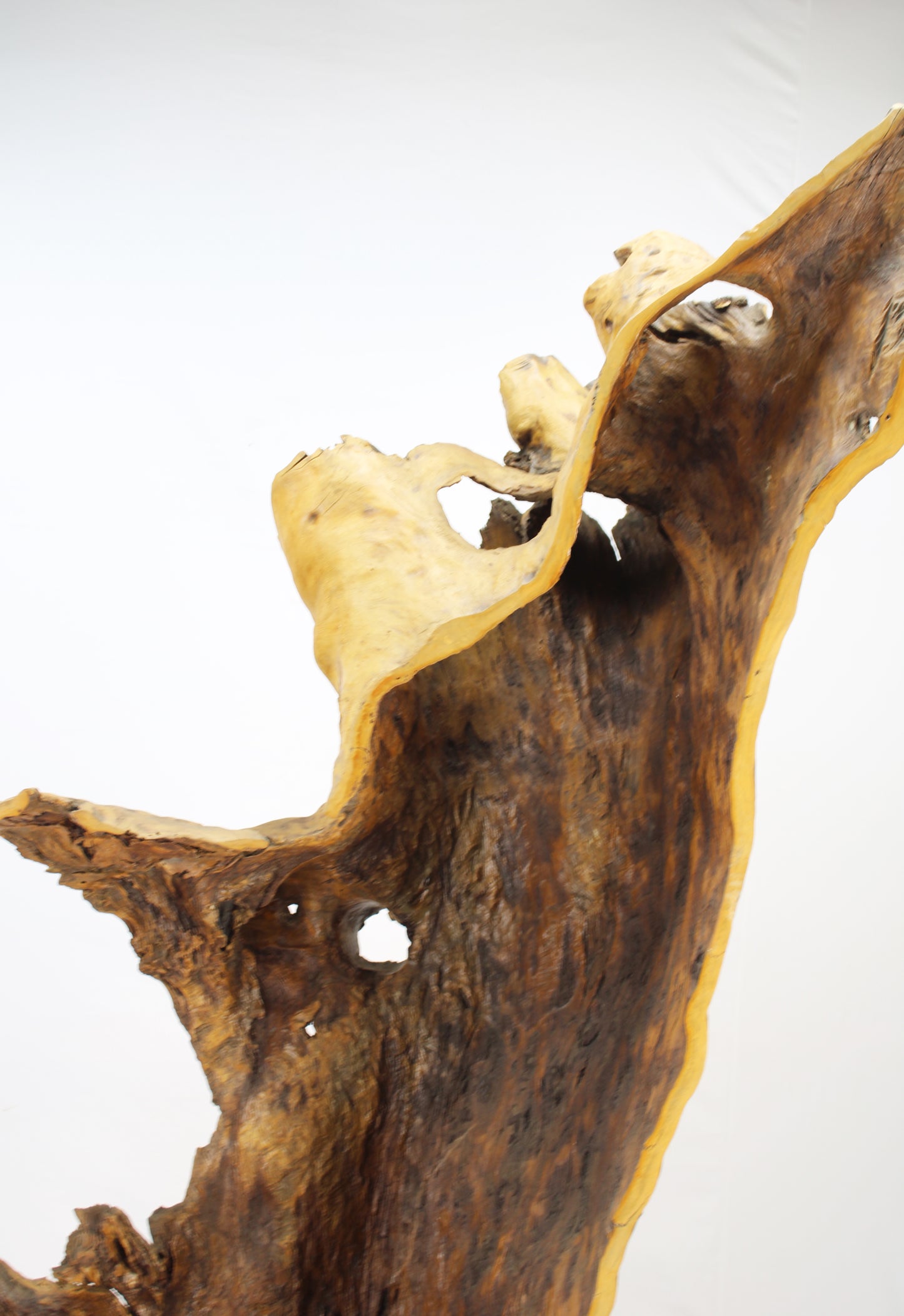 Handcrafted Wooden Wildlife Sculpture SPL035