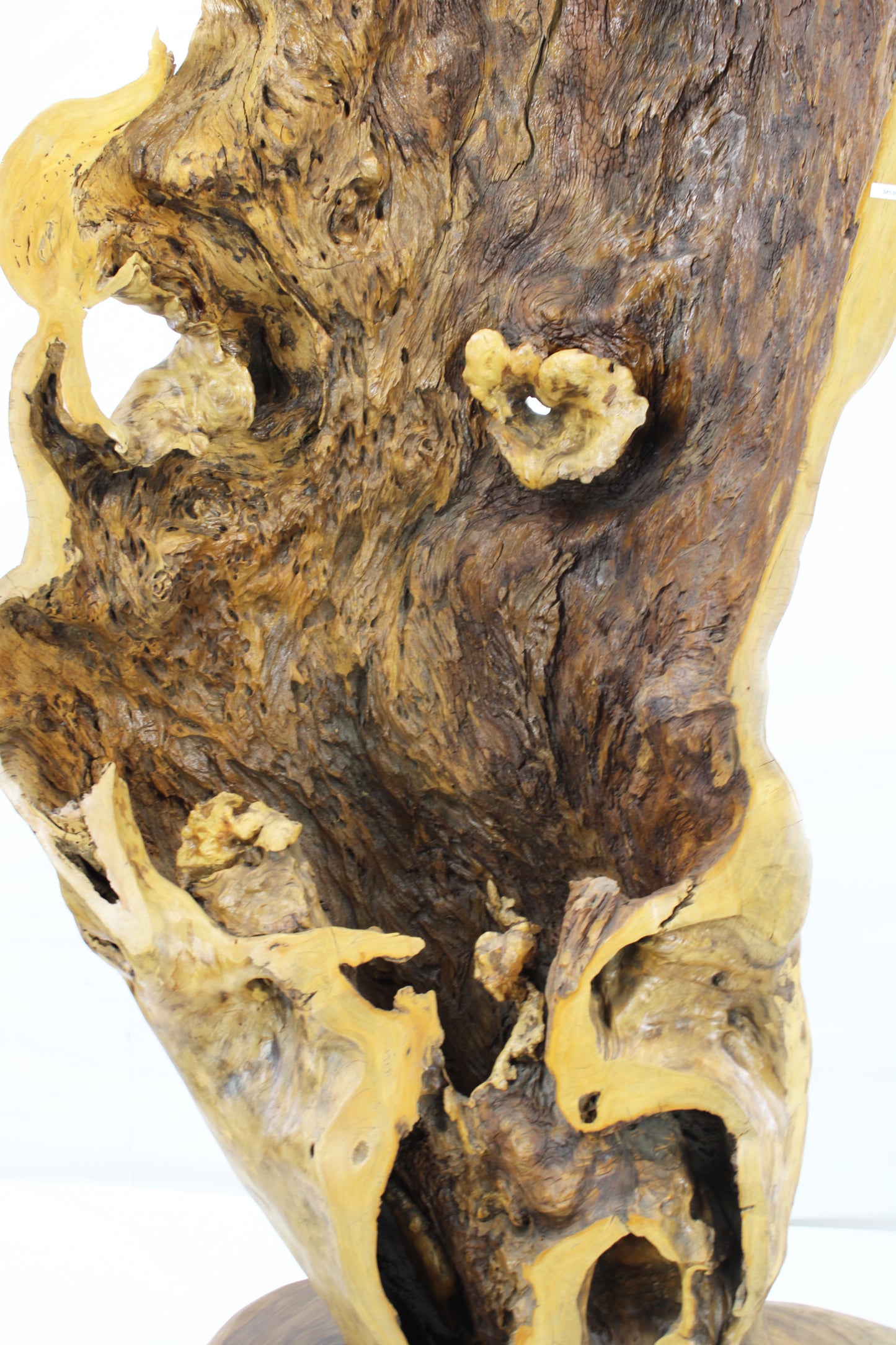 Handcrafted Wooden Wildlife Sculpture SPL035