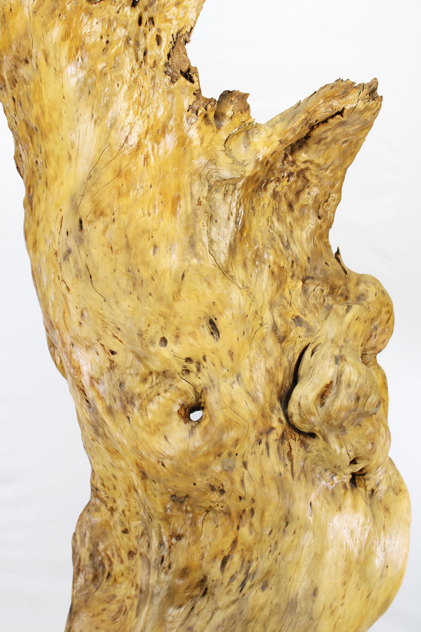 Handcrafted Wooden Wildlife Sculpture SPL035