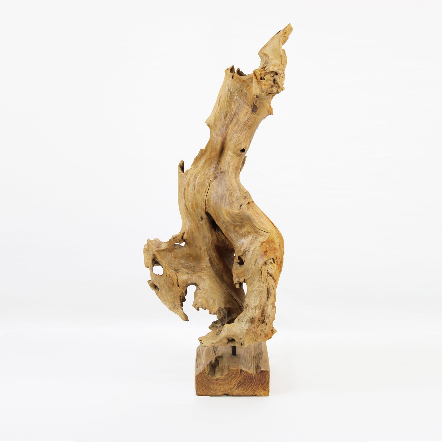 Teak Wood Sculpture SPM016