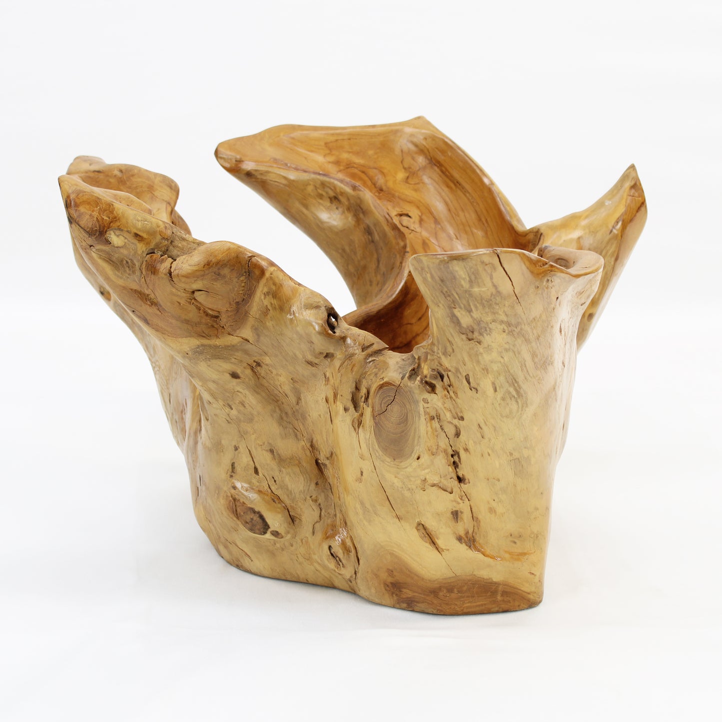 Teak Root Bowl Natural TRB010