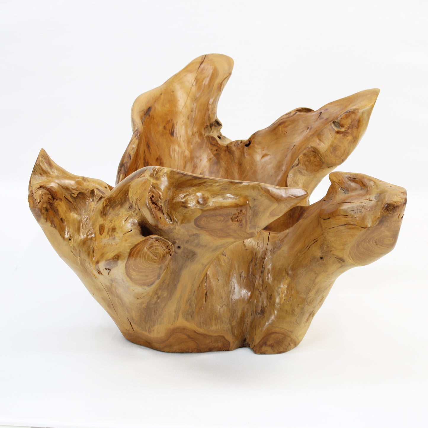 Teak Root Bowl Natural TRB010