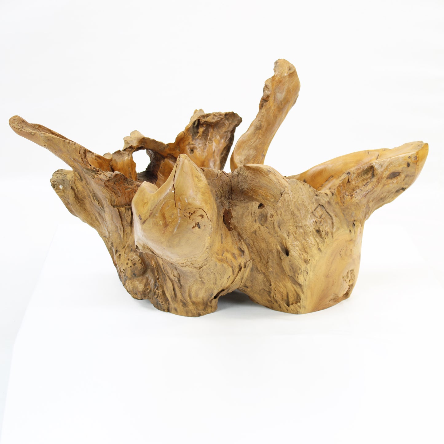 Teak Root Bowl Natural TRB014