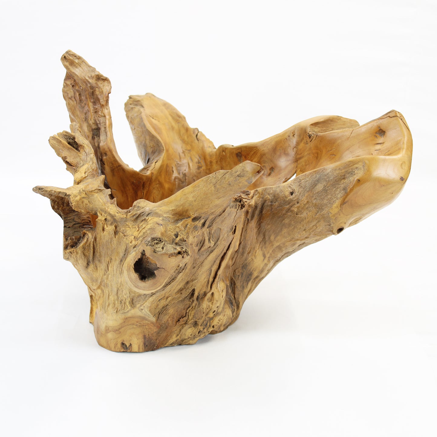 Teak Root Bowl Natural TRB014