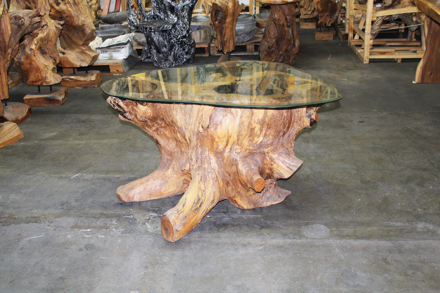 Carved Teak Root Coffee Table with Glass TRCTG01