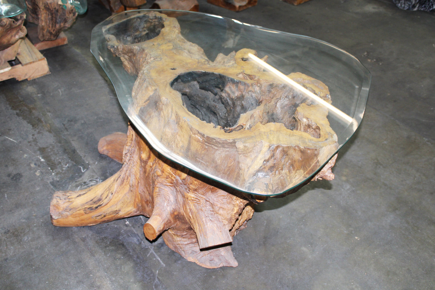 Carved Teak Root Coffee Table with Glass TRCTG01