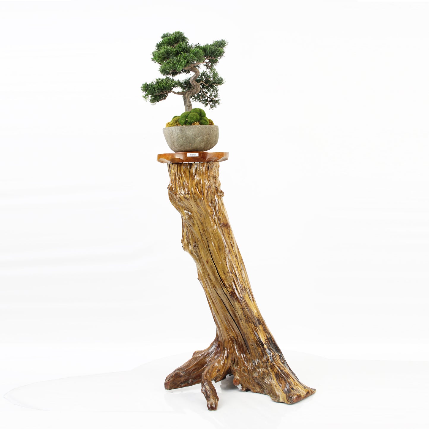 Hand Crafted Root Wood Stool/Plant stand TWDM29