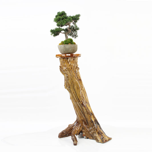 Hand Crafted Root Wood Stool/Plant stand TWDM29