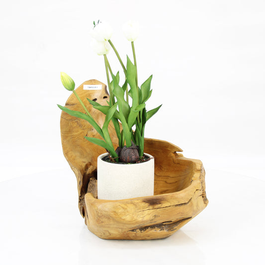 Teak Wood Planter Natural TWP032E3