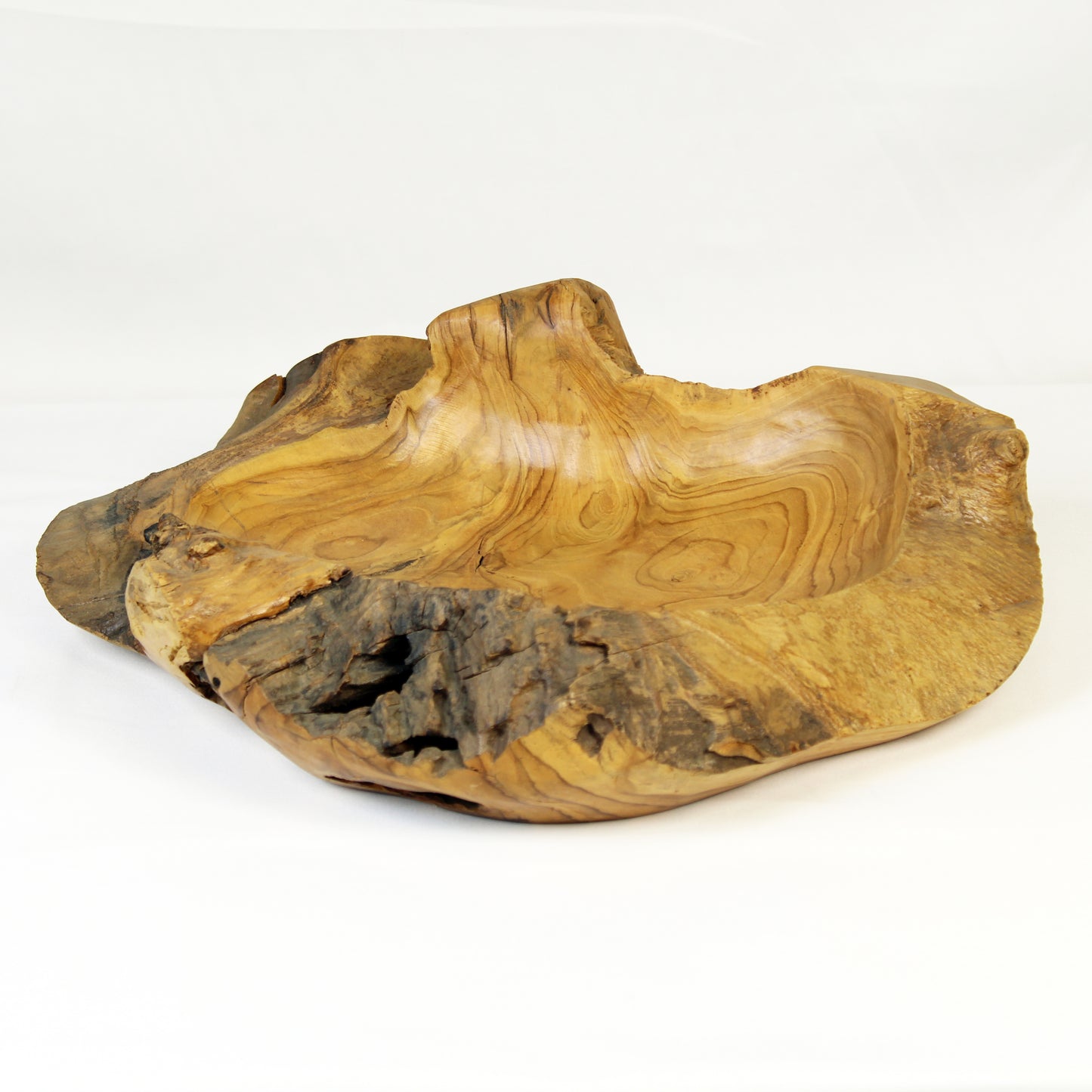 Teak Root Plate TWP05M