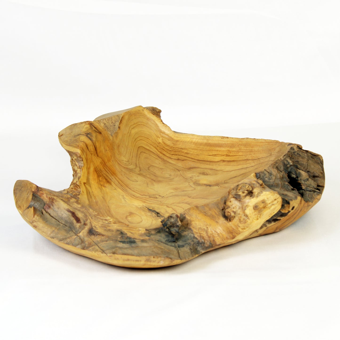 Teak Root Plate TWP05M