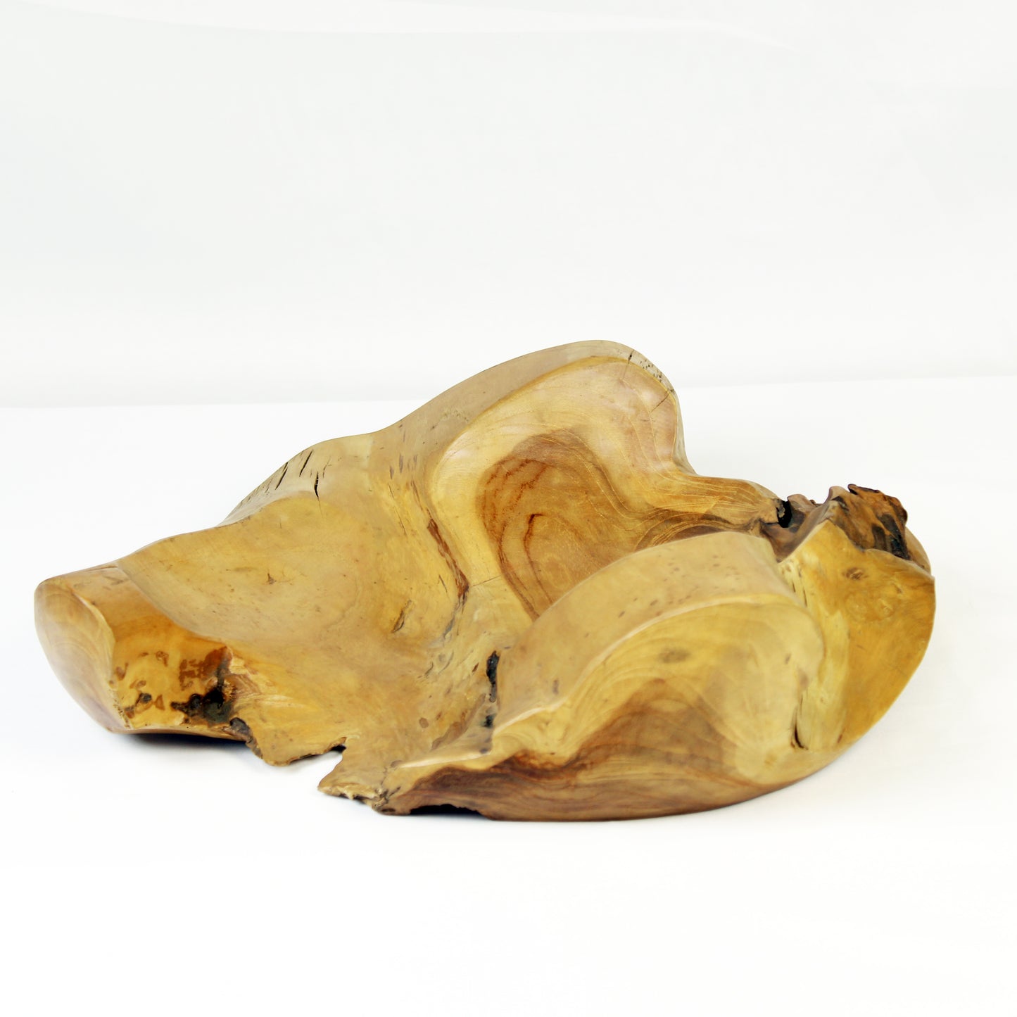 Teak Root Plate TPW06M