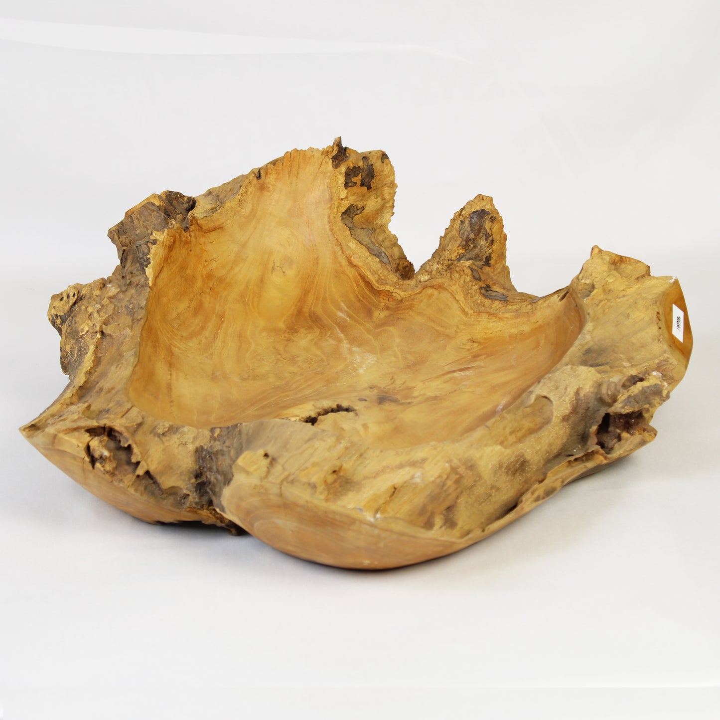 Teak Root Plate TWP08L