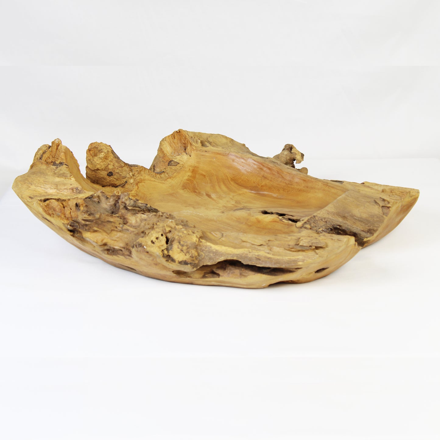 Teak Root Plate TWP08L