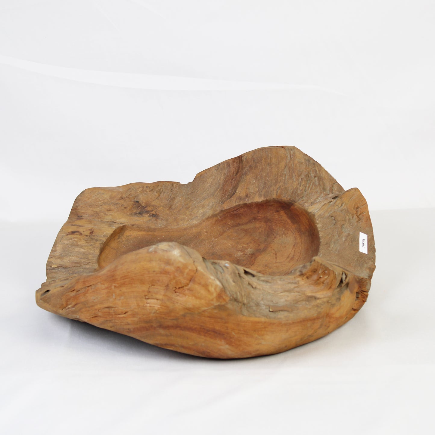 Teak Root Plate TWP10L