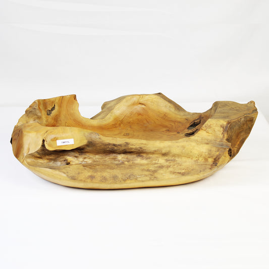 Teak Root Plate TWP11L