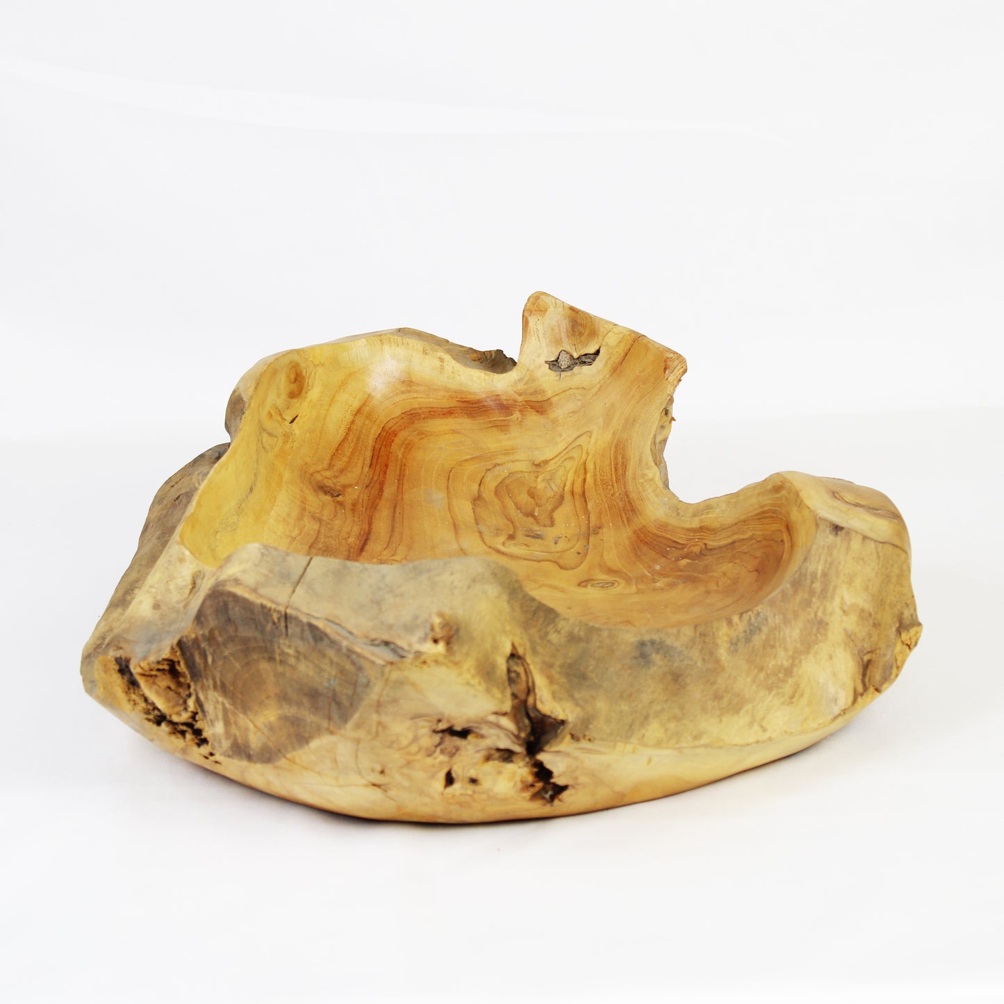 Teak Root Plate TWP11L