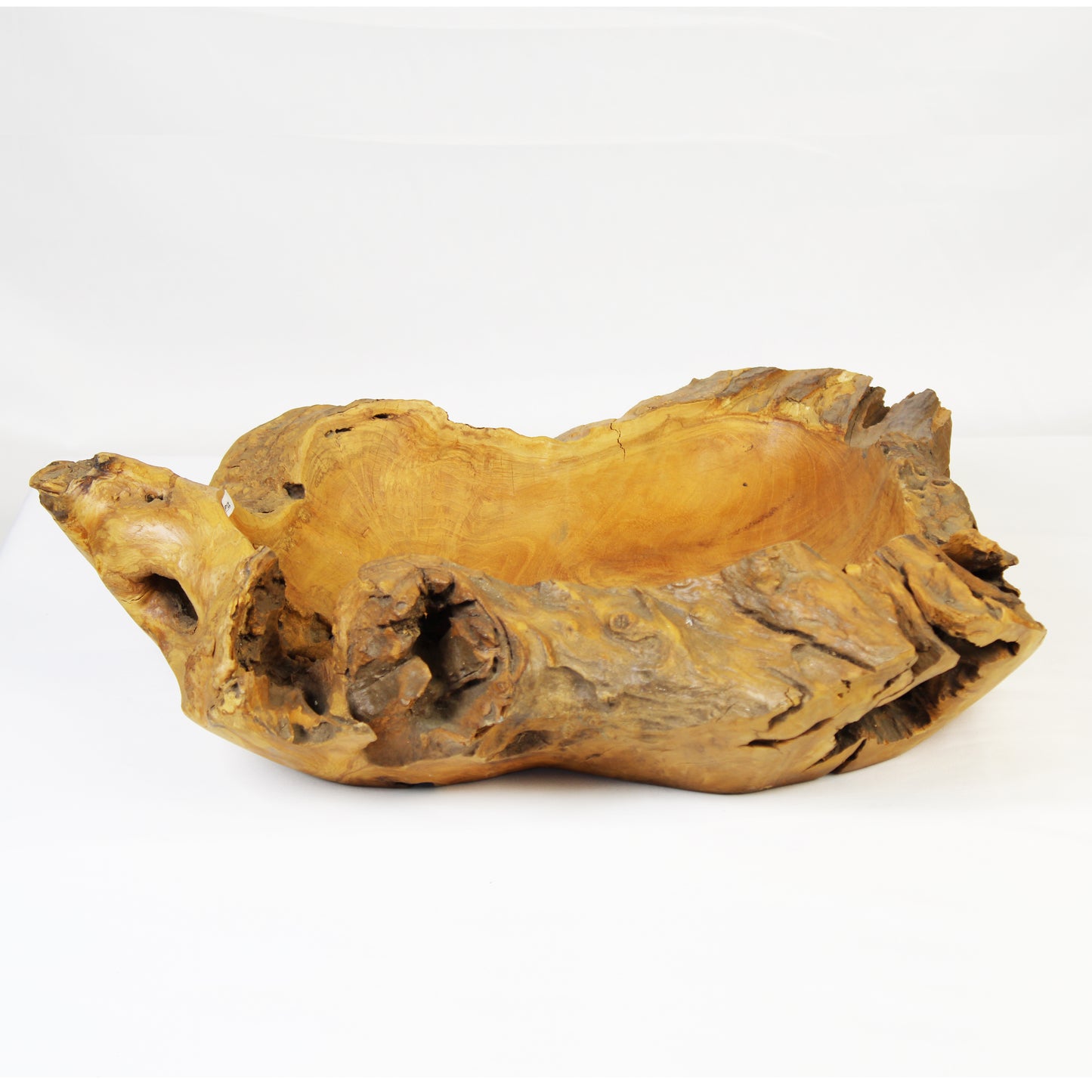 Teak Root Plate TWP12L