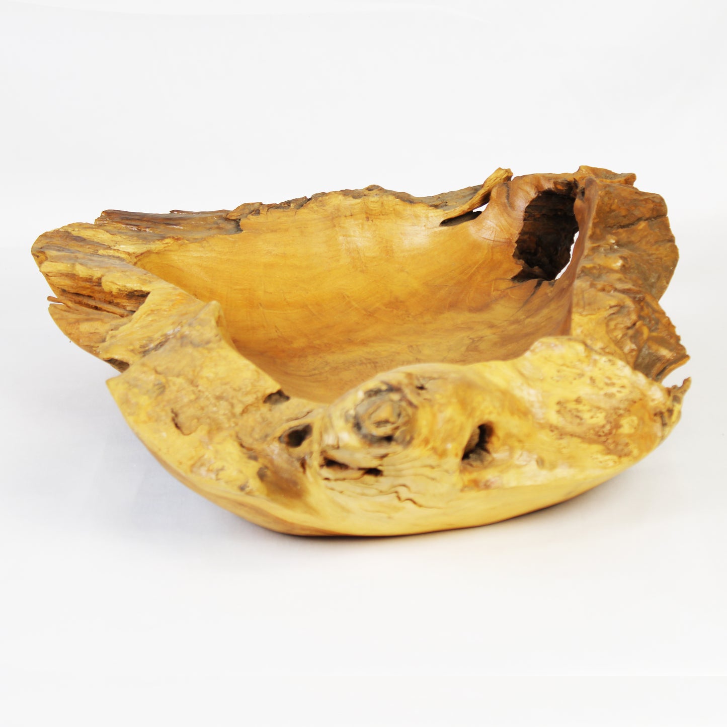 Teak Root Plate TWP12L