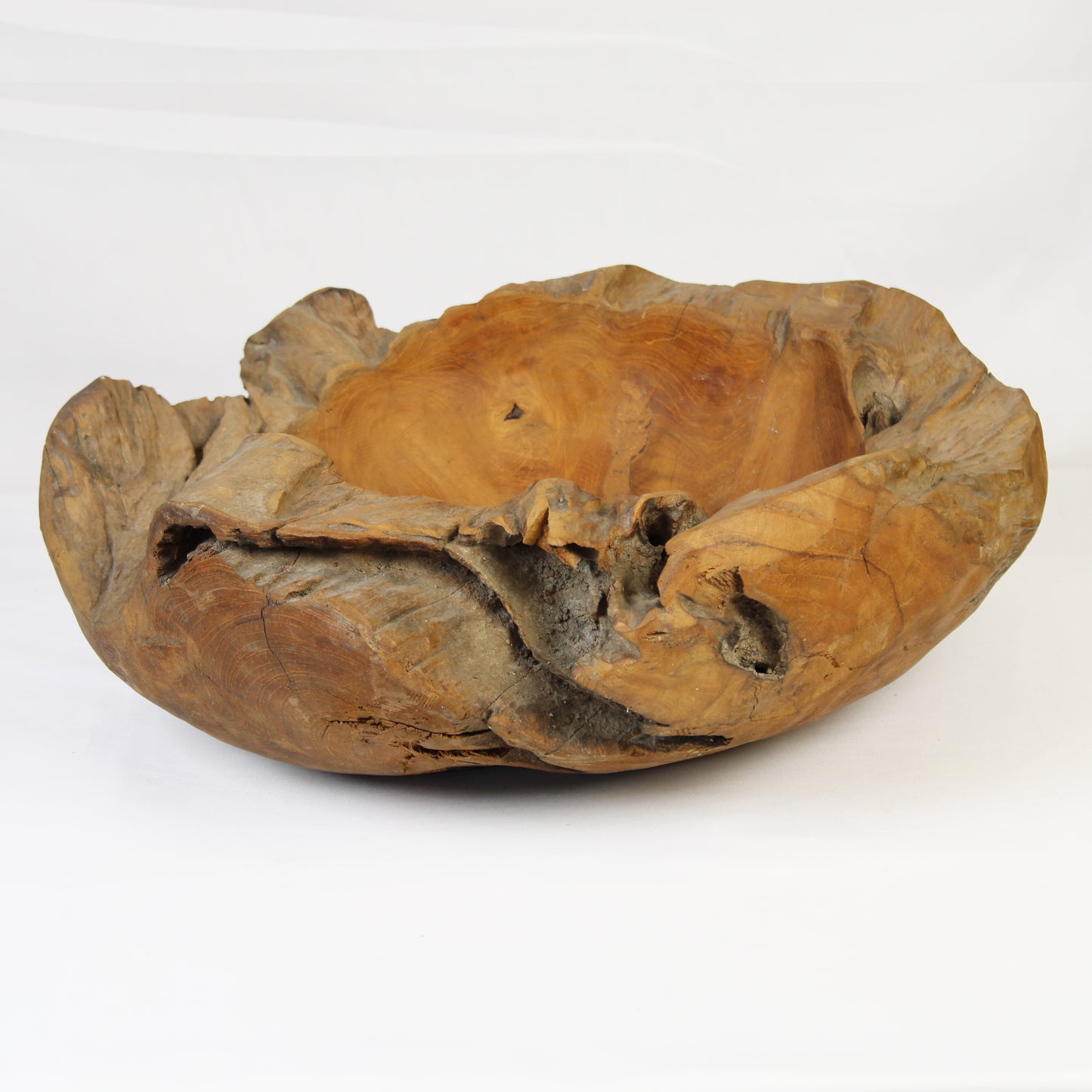 Teak Root Plate TWP13L