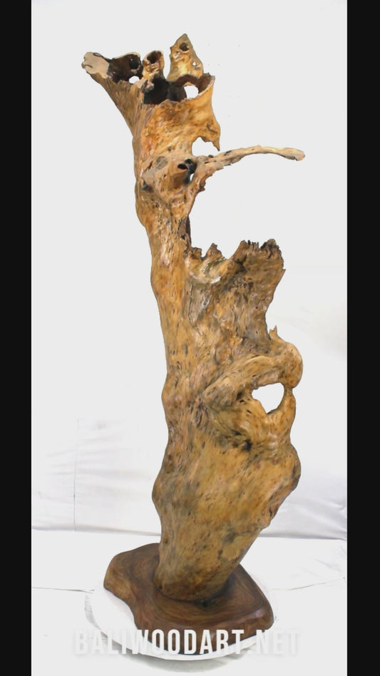 Handcrafted Wooden Wildlife Sculpture SPL035
